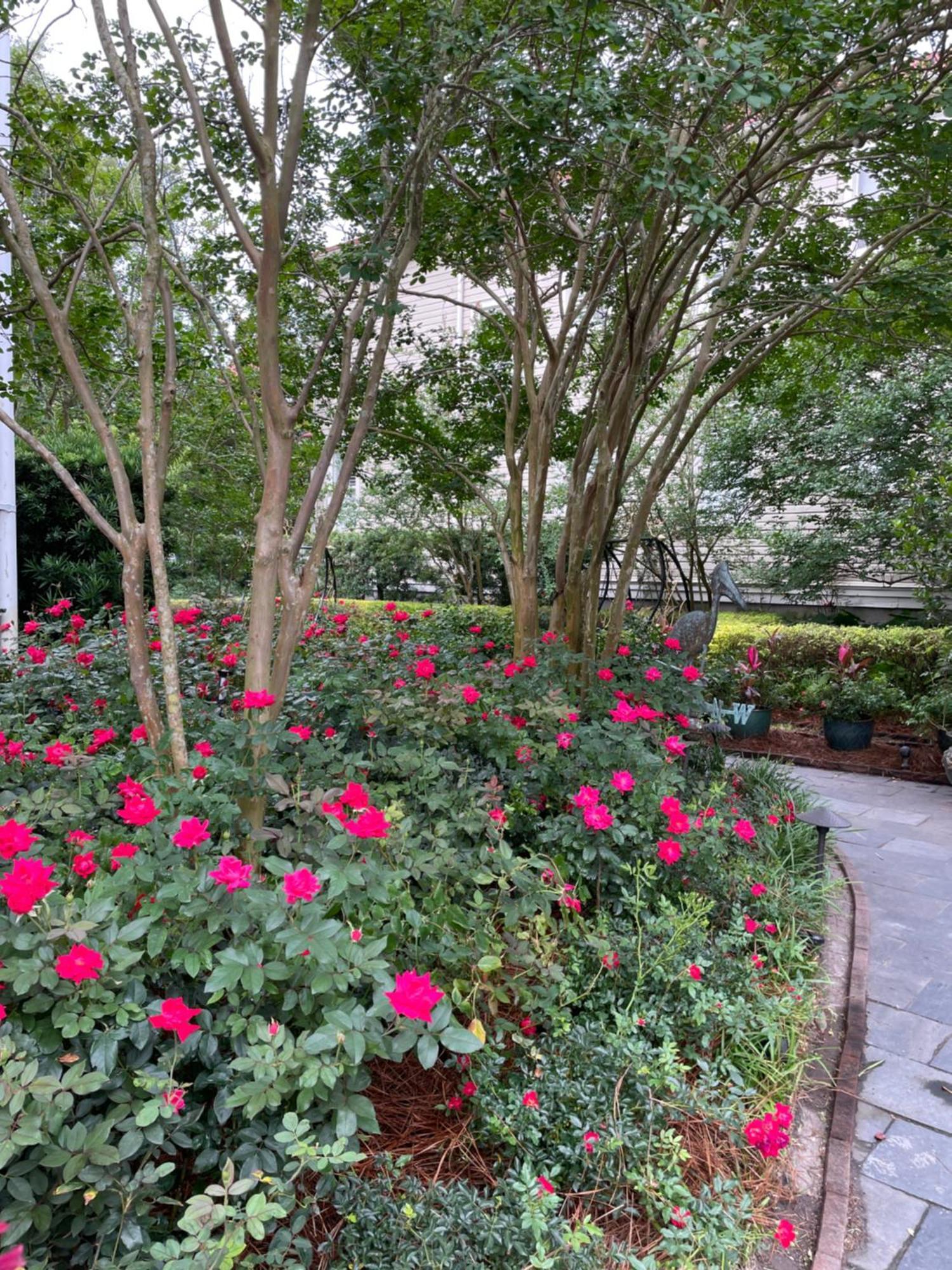 22 Charlotte Bed & Breakfast Charleston Bagian luar foto