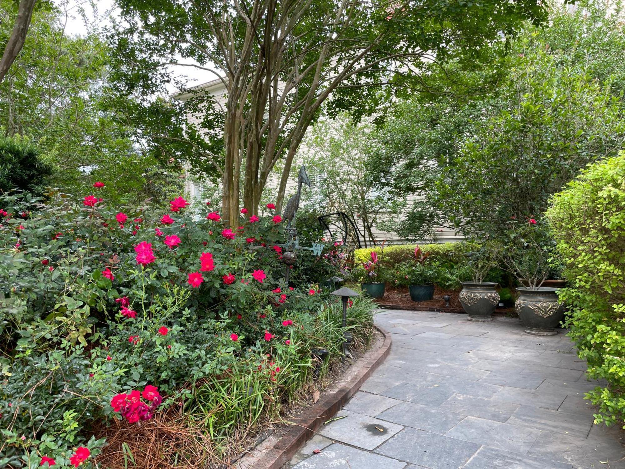 22 Charlotte Bed & Breakfast Charleston Bagian luar foto