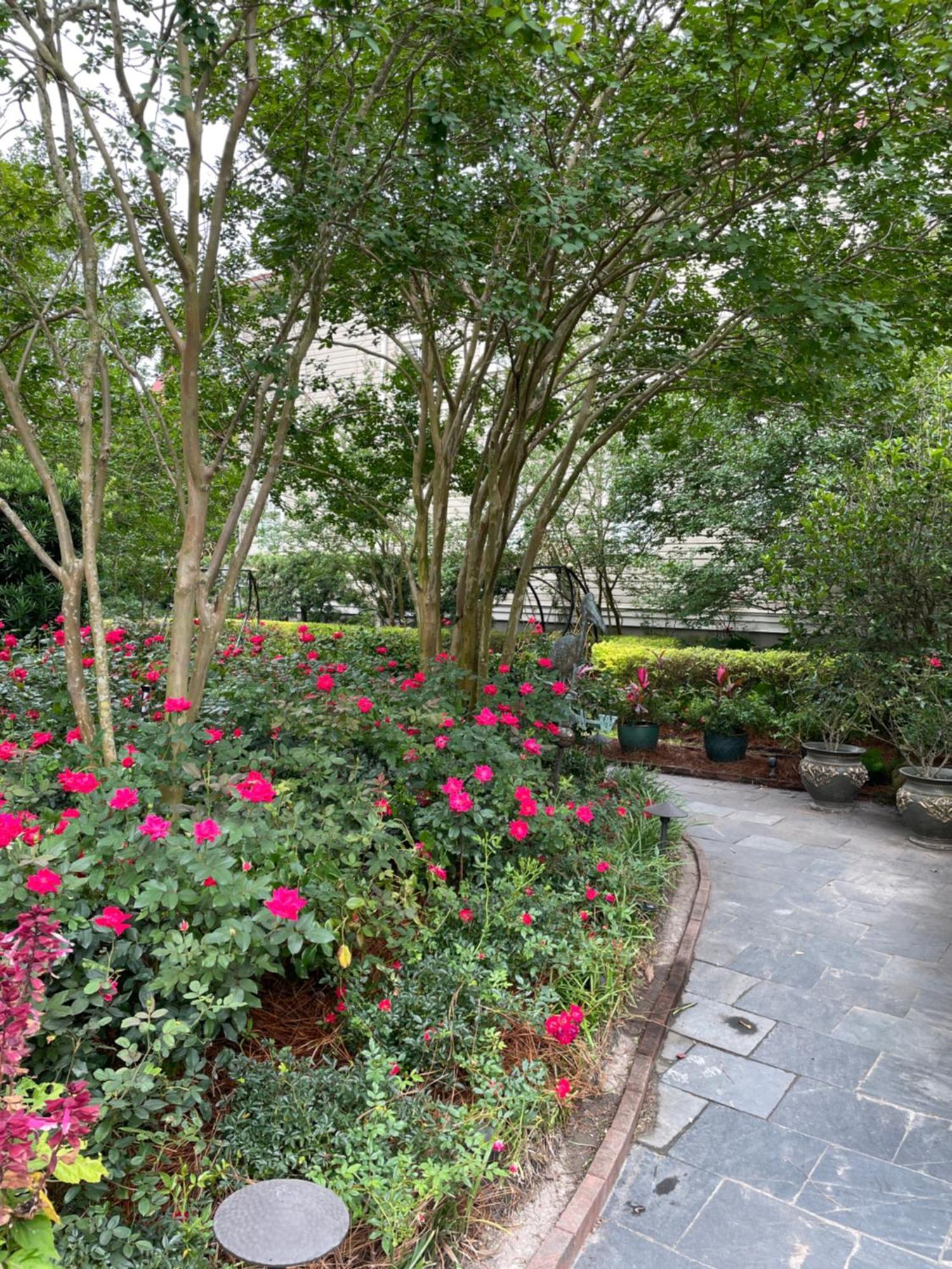 22 Charlotte Bed & Breakfast Charleston Bagian luar foto